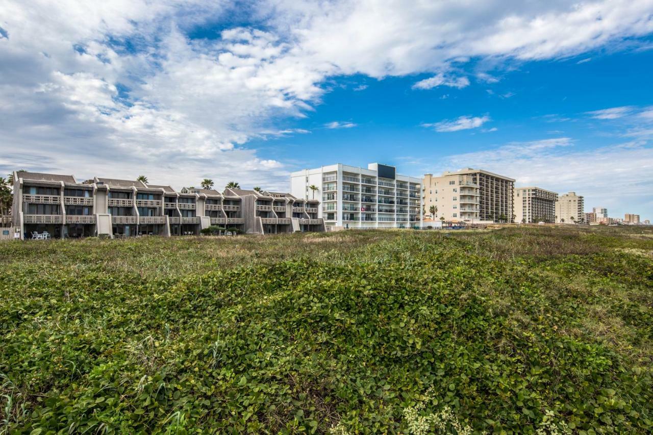 Palm Tree Escape Διαμέρισμα South Padre Island Εξωτερικό φωτογραφία