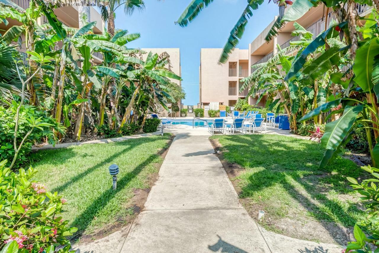 Palm Tree Escape Διαμέρισμα South Padre Island Εξωτερικό φωτογραφία
