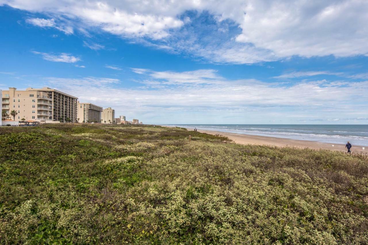 Palm Tree Escape Διαμέρισμα South Padre Island Εξωτερικό φωτογραφία